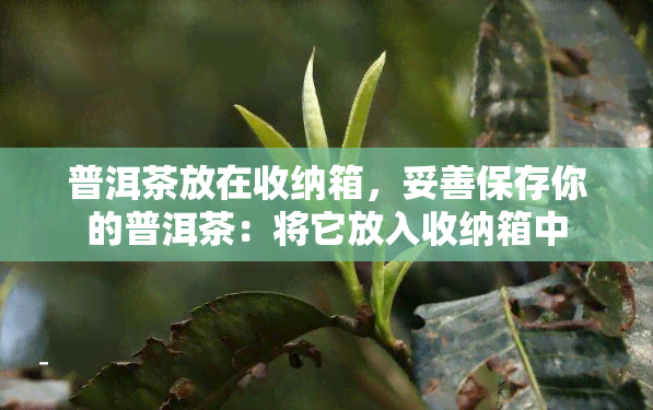 普洱茶放在收纳箱，妥善保存你的普洱茶：将它放入收纳箱中