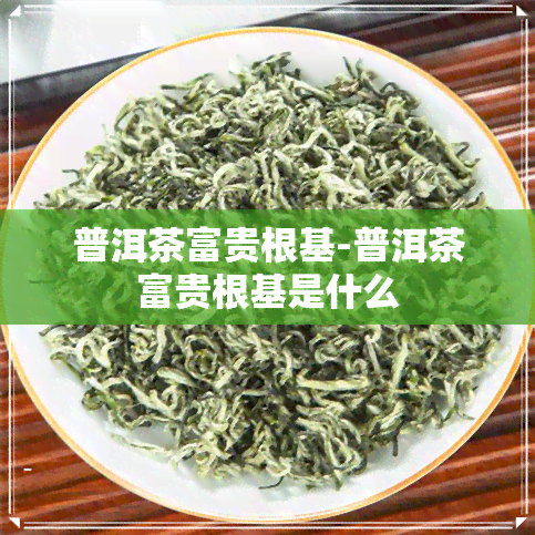 普洱茶富贵根基-普洱茶富贵根基是什么