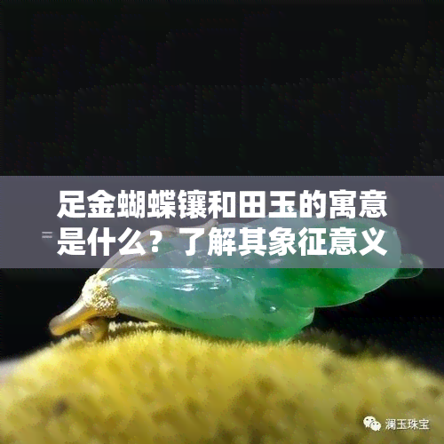 足金蝴蝶镶和田玉的寓意是什么？了解其象征意义！