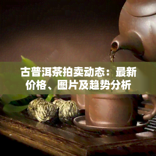 古普洱茶拍卖动态：最新价格、图片及趋势分析