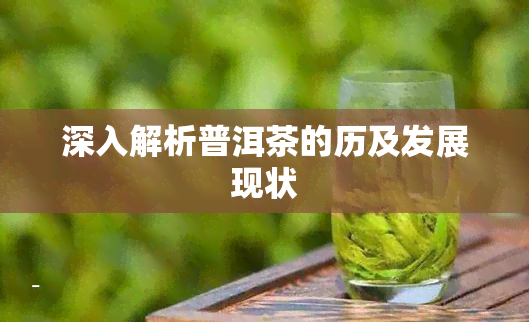 深入解析普洱茶的历及发展现状