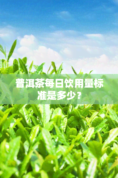 普洱茶每日饮用量标准是多少？