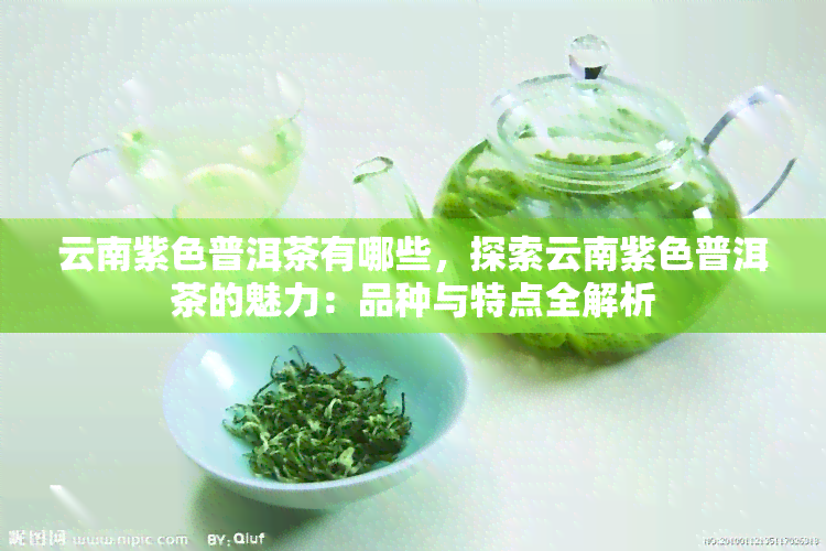 云南紫色普洱茶有哪些，探索云南紫色普洱茶的魅力：品种与特点全解析