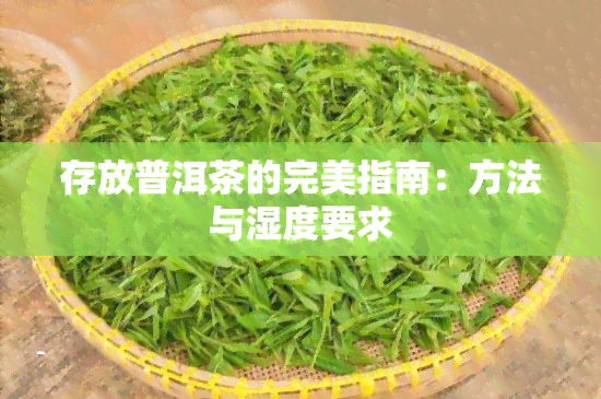 存放普洱茶的完美指南：方法与湿度要求