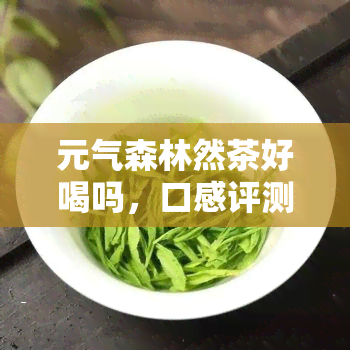 元气森林然茶好喝吗，口感评测：元气森林然茶究竟如何？你真的喜欢它吗？