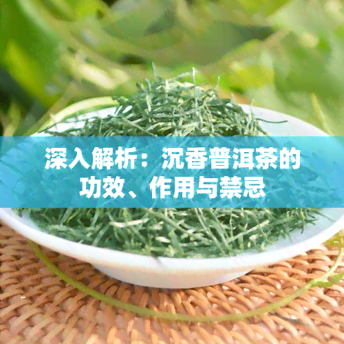 深入解析：沉香普洱茶的功效、作用与禁忌