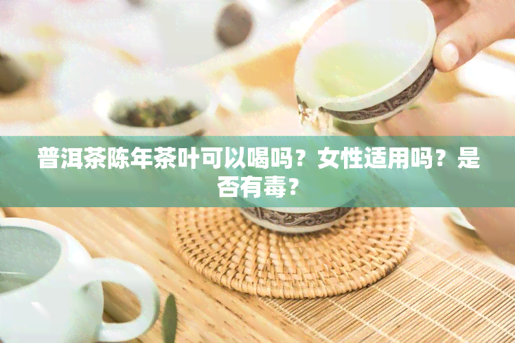 普洱茶陈年茶叶可以喝吗？女性适用吗？是否有？