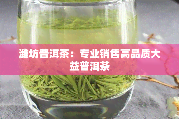 潍坊普洱茶：专业销售高品质大益普洱茶