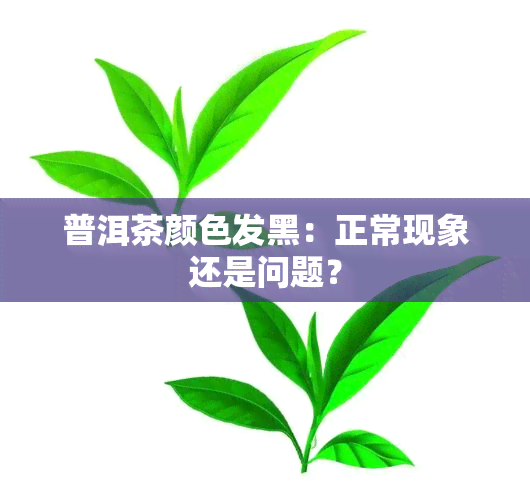 普洱茶颜色发黑：正常现象还是问题？