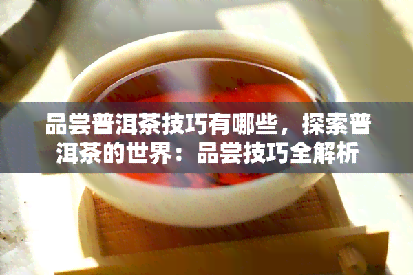 品尝普洱茶技巧有哪些，探索普洱茶的世界：品尝技巧全解析