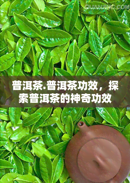 普洱茶.普洱茶功效，探索普洱茶的神奇功效，品味古老茶文化的魅力