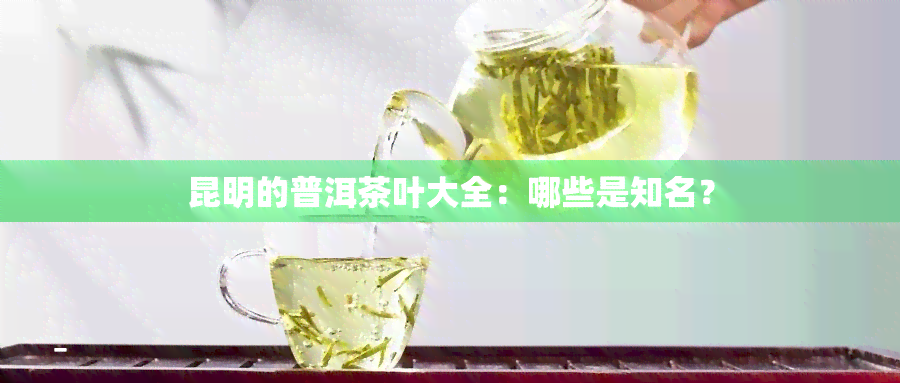 昆明的普洱茶叶大全：哪些是知名？