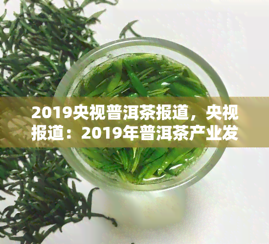 2019央视普洱茶报道，央视报道：2019年普洱茶产业发展新动态