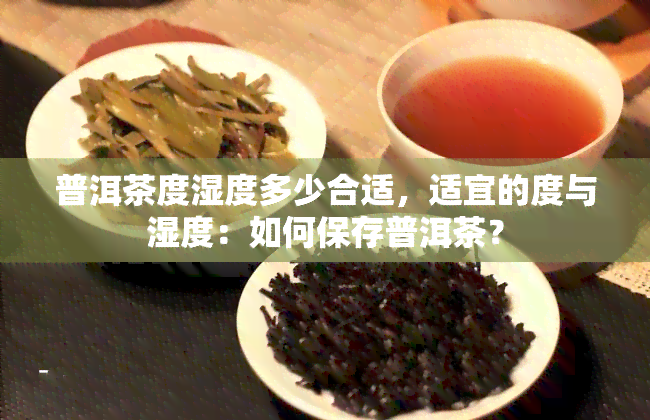 普洱茶度湿度多少合适，适宜的度与湿度：如何保存普洱茶？