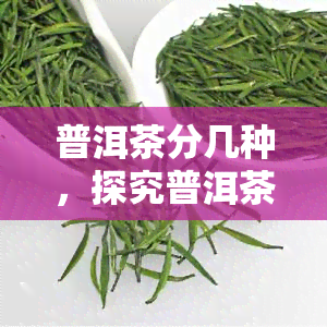 普洱茶分几种，探究普洱茶的种类：从生茶到熟茶，一探究竟