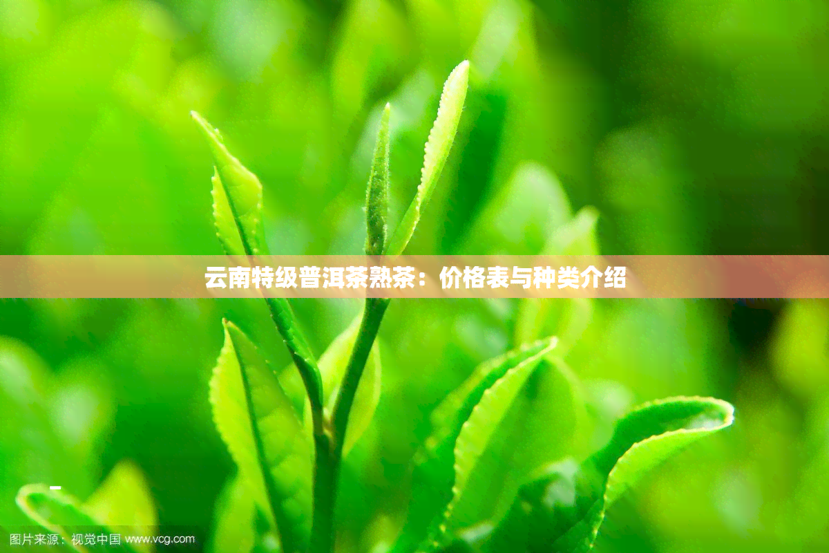 云南特级普洱茶熟茶：价格表与种类介绍