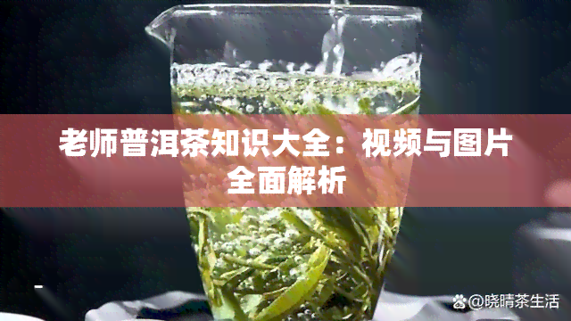 老师普洱茶知识大全：视频与图片全面解析