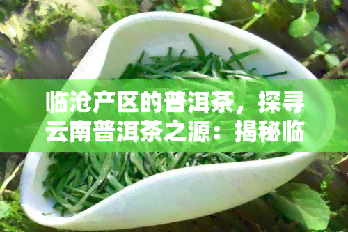 临沧产区的普洱茶，探寻云南普洱茶之源：揭秘临沧产区的魅力与独特性