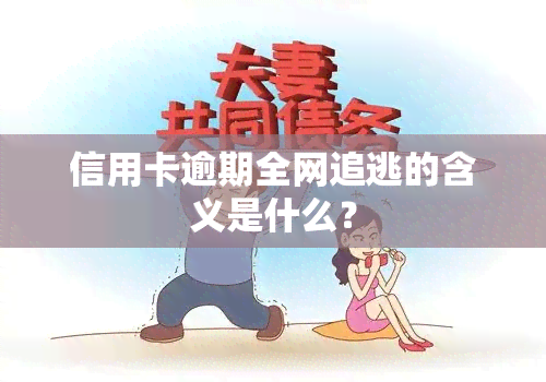 信用卡逾期全网追逃的含义是什么？