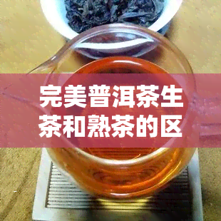 完美普洱茶生茶和熟茶的区别及价格介绍