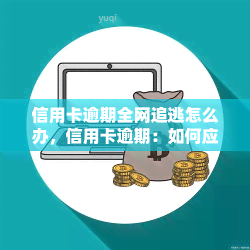 信用卡逾期全网追逃怎么办，信用卡逾期：如何应对全网追逃？