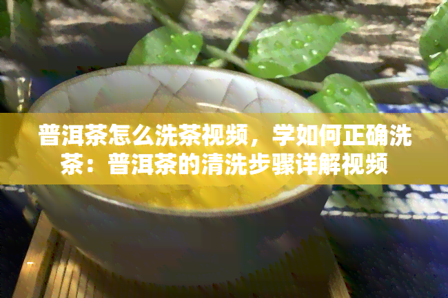 普洱茶怎么洗茶视频，学如何正确洗茶：普洱茶的清洗步骤详解视频