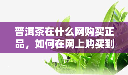 普洱茶在什么网购买正品，如何在网上购买到正品普洱茶？