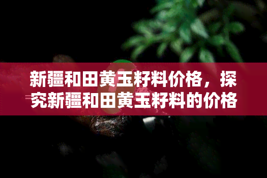 新疆和田黄玉籽料价格，探究新疆和田黄玉籽料的价格走势与收藏价值