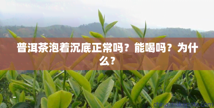 普洱茶泡着沉底正常吗？能喝吗？为什么？