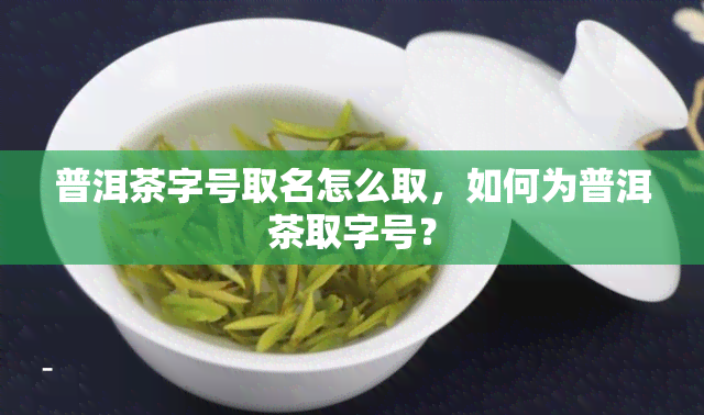 普洱茶字号取名怎么取，如何为普洱茶取字号？