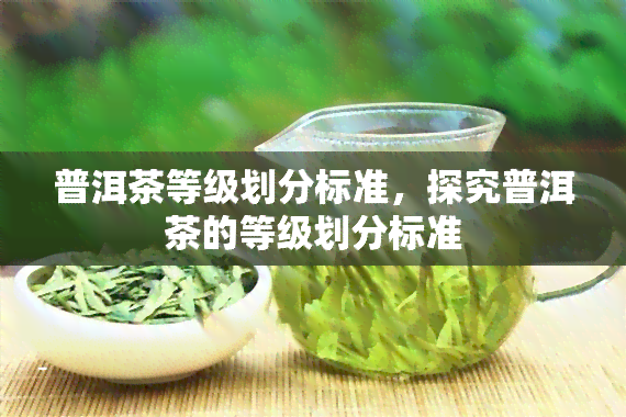 普洱茶等级划分标准，探究普洱茶的等级划分标准