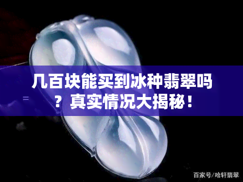 几百块能买到冰种翡翠吗？真实情况大揭秘！