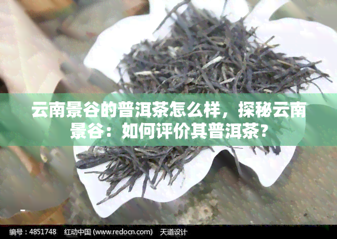 云南景谷的普洱茶怎么样，探秘云南景谷：如何评价其普洱茶？