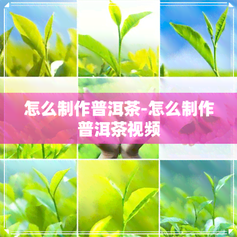 怎么制作普洱茶-怎么制作普洱茶视频