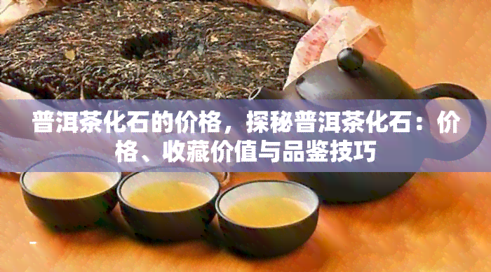 普洱茶化石的价格，探秘普洱茶化石：价格、收藏价值与品鉴技巧