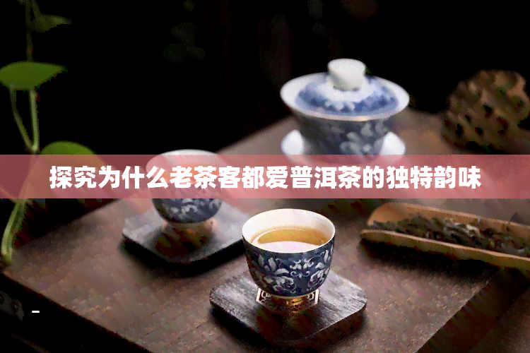 探究为什么老茶客都爱普洱茶的独特韵味