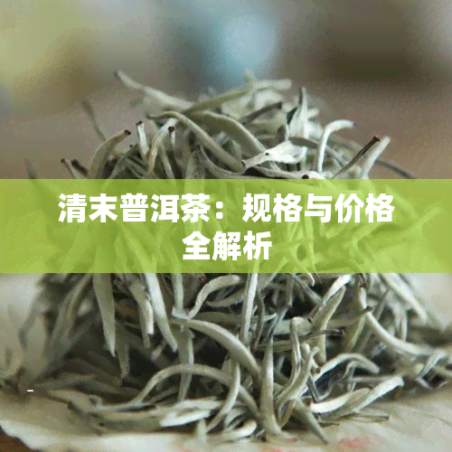 清末普洱茶：规格与价格全解析