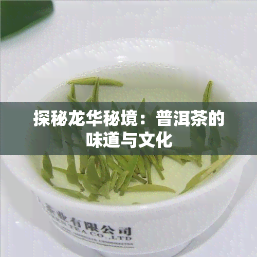 探秘龙华秘境：普洱茶的味道与文化