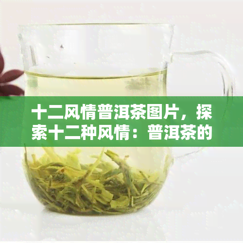 十二风情普洱茶图片，探索十二种风情：普洱茶的精美图片集