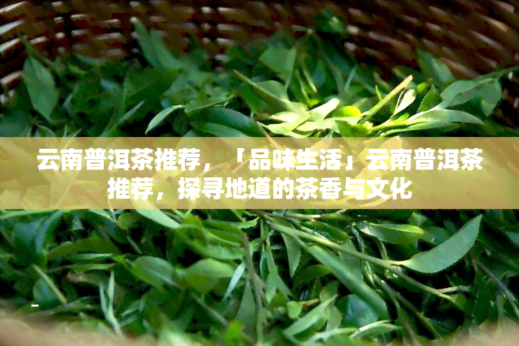 云南普洱茶推荐，「品味生活」云南普洱茶推荐，探寻地道的茶香与文化