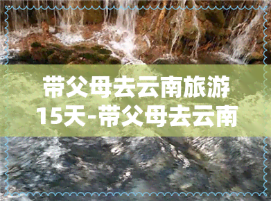 带父母去云南旅游15天-带父母去云南旅游15天多少钱