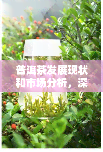 普洱茶发展现状和市场分析，深度解析：普洱茶的发展现状与市场趋势分析