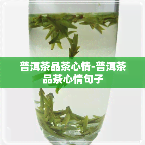 普洱茶品茶心情-普洱茶品茶心情句子