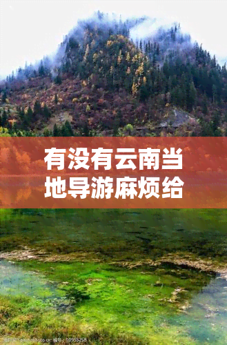 有没有云南当地导游麻烦给推荐一下，求助：寻找云南当地导游，能否给予推荐？