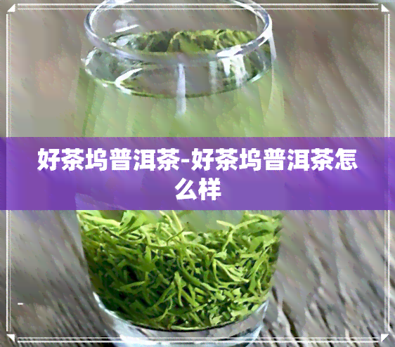 好茶坞普洱茶-好茶坞普洱茶怎么样