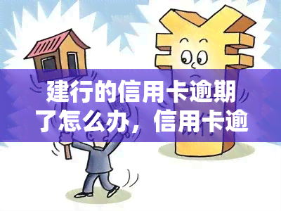 建行的信用卡逾期了怎么办，信用卡逾期？教你如何解决建行信用卡逾期问题