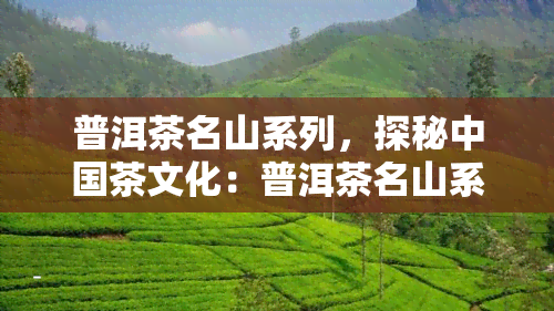 普洱茶名山系列，探秘中国茶文化：普洱茶名山系列的奇妙之旅