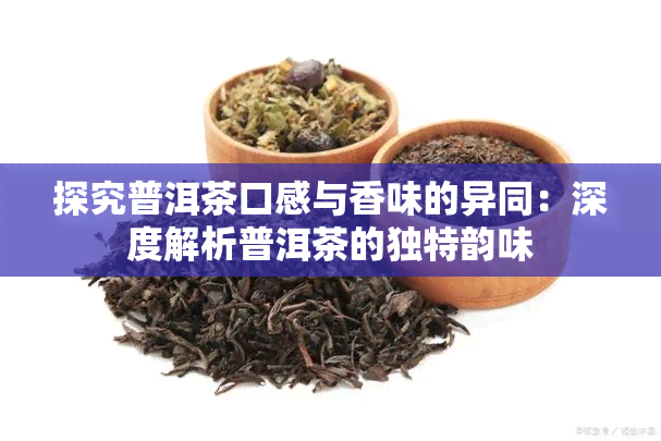 探究普洱茶口感与香味的异同：深度解析普洱茶的独特韵味