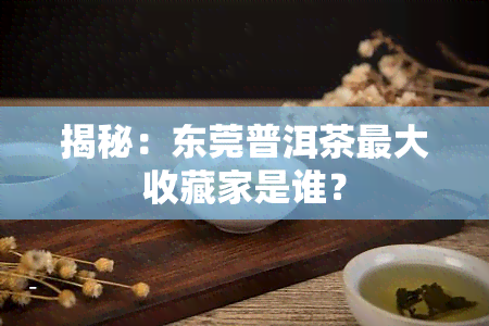 揭秘：东莞普洱茶更大收藏家是谁？