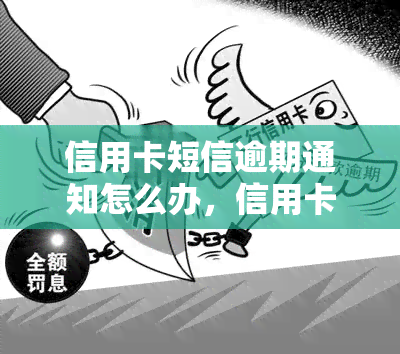 信用卡短信逾期通知怎么办，信用卡短信逾期通知处理方法：轻松应对逾期问题